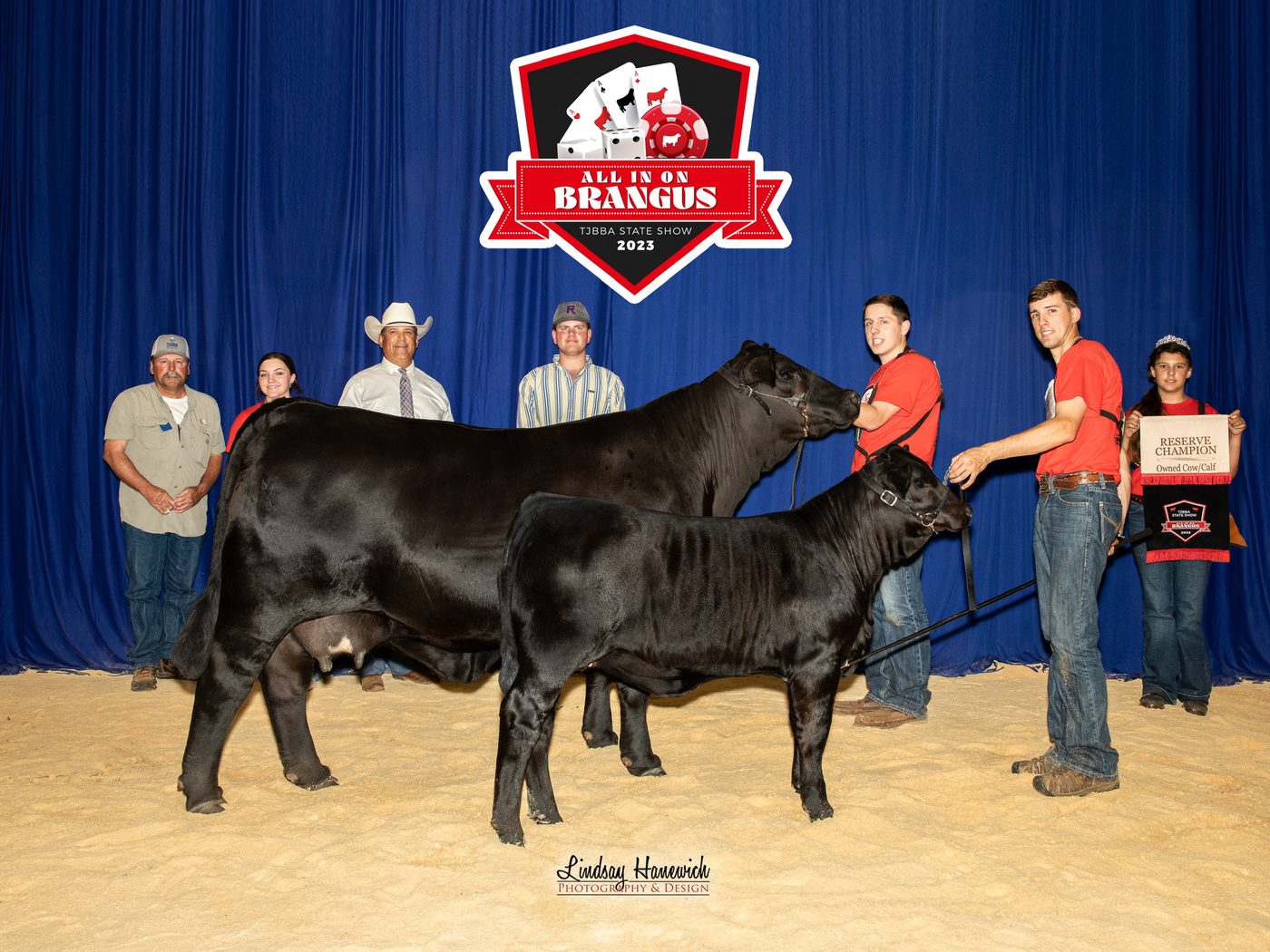 The family with a Brangus cow and calf pair in the show ring